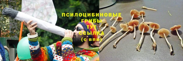 прущая мука Елизово