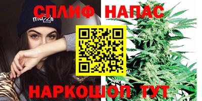 прущие грибы Кунгур