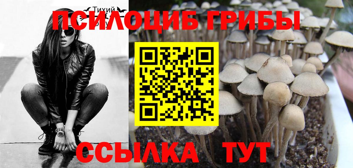 Галлюциногенные грибы мухоморы Железноводск