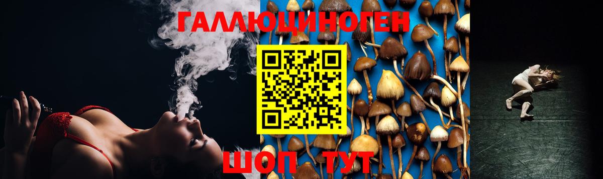 Железноводск  Галлюциногенные грибы прущие грибы  Вход с VPN 