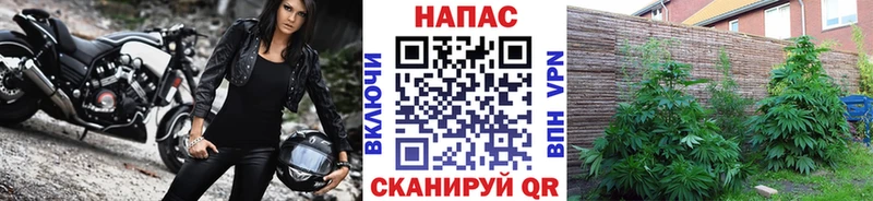 hydra   как найти   Железноводск  Бошки Шишки MAZAR 